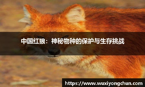 天博tb体育