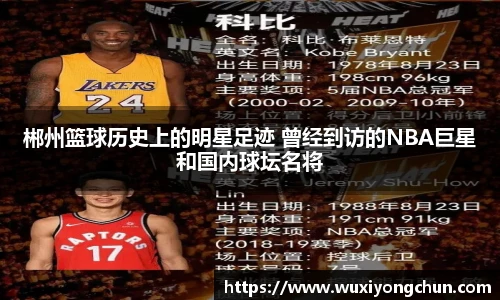 天博tb综合体育官方网站
